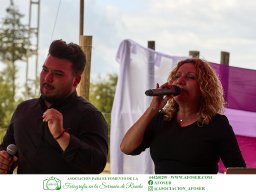 Festival Mar de Tethys 2026 - Bodega Vetas